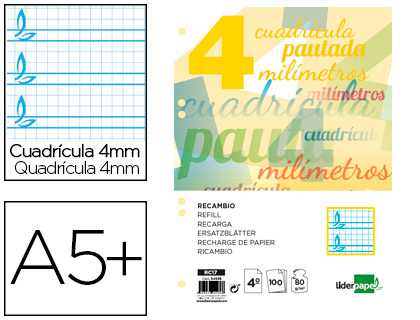 RECAMBIO LIDERPAPEL CUARTO PAUTAGUIA 100 HOJAS 75 G CUADRICULADO PAUTADO 4 MM CON MARGEN 6 TALADROS