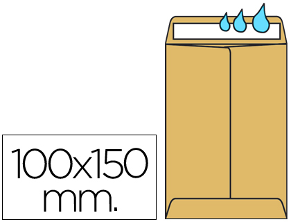 SOBRE LIDERPAPEL BOLSA N.0 CEL CAÑA SALARIOS 100X145MM TIRA SILICONA CAJA DE 1000 UNIDADES