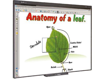 PIZARRA INTERACTIVA SB480 77\&quot; CON PROYECTOR Y SOPORTE