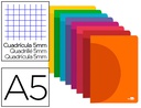 [LF08] LIBRETA LIDERPAPEL 360 TAPA DE PLASTICO A5 48 HOJAS 90G/M2 5MM CON DOBLE MARGEN COLORES SURTIDOS