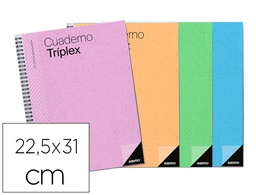 [P192] CUADERNO TRIPLEX ADDITIO PLAN DE CURSO EVALUACION AGENDA PLAN SEMANAL Y TUTORIAS FUNDAS TRANSPARENTES 22,5X31CM