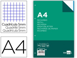 [RE05] RECAMBIO LIDERPAPEL A4 100 HOJAS 100G/M2 CUADRO 5MM 4 TALADROS BANDAS DE 5 COLORES